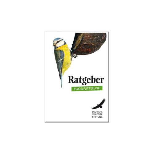 Ratgeber Vogelfütterung