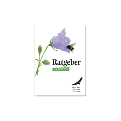 Ratgeber Wildbienen