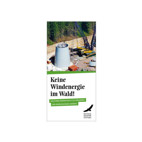 Flyer "Keine Windenergie im Wald!"